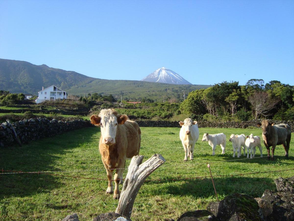 Casa Do Canto São Roque do Pico Екстериор снимка
